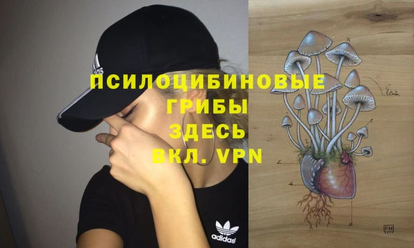 амф Алексин